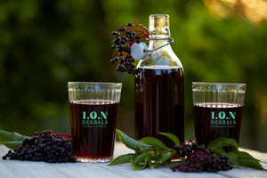 Boost Your Wellness With Elderberries