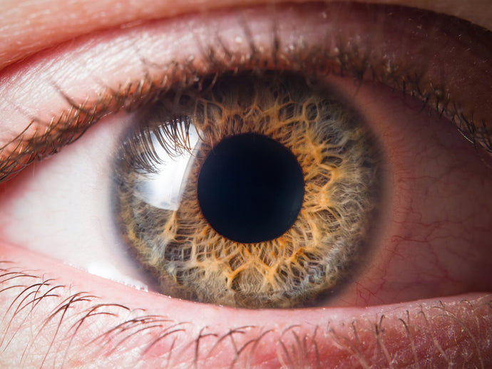 Ever Wondered What Your Eyes Reveal About Your Health?