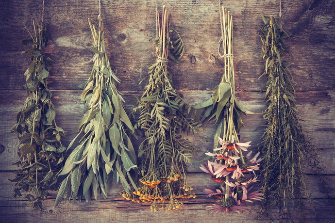 Choosing The Best Quality Dried Herbs